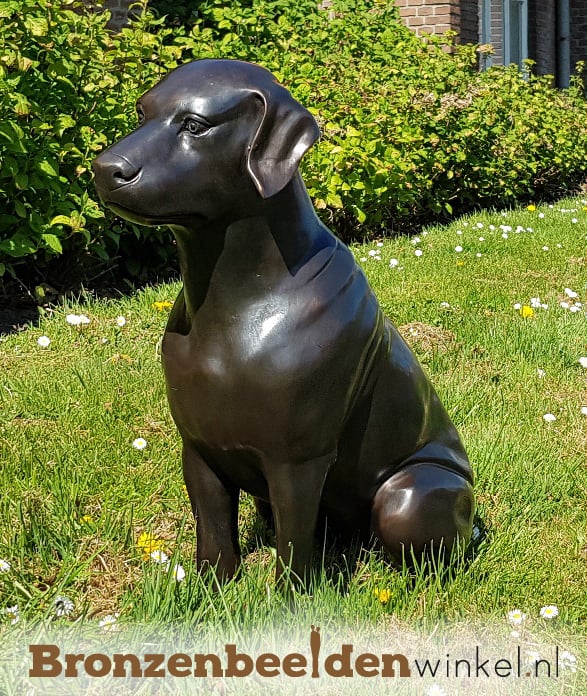 Briesje Romanschrijver stel je voor Beeld hond brons bestellen | Bronzen hondenbeeld huis & tuin