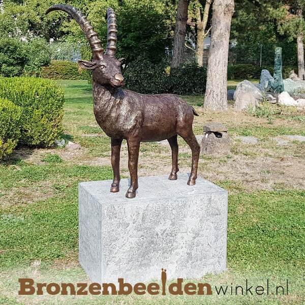 tuinbeeld steenbok
