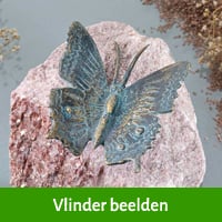 vlinder beelden