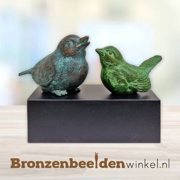 vogeltjes asbeeld