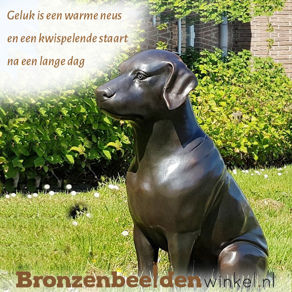 Vriendschap hond quotes