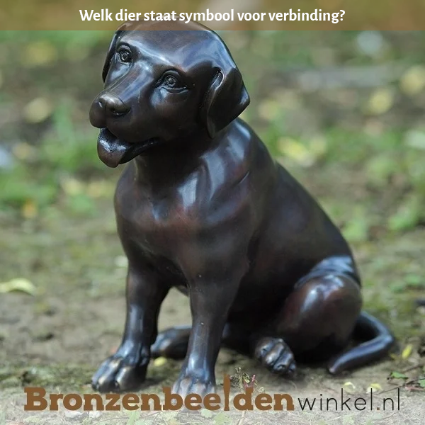 Welk dier staat symbool voor verbinding