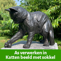 as kat verwerken in beeld en sokkel