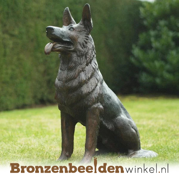 Blijvende herinnering hond