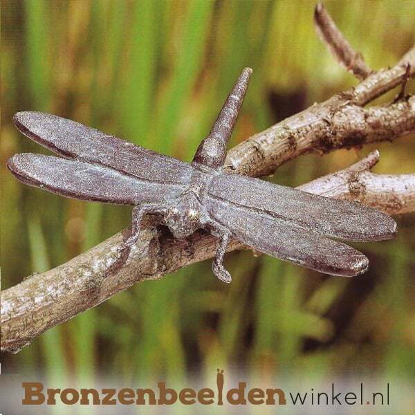 Bronzen insecten beelden kopen