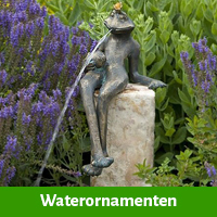 waterornament als cadeau voor iemand die alles als heeft