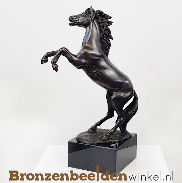 cadeau voor paardenliefhebber