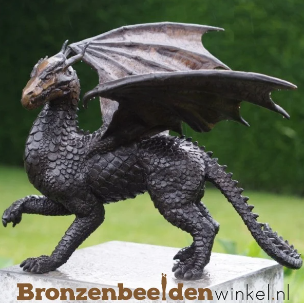 draak symbool geluk