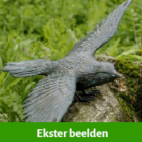 ekster beelden