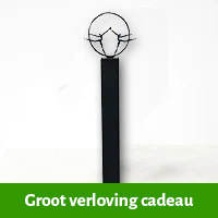 Groot verloving cadeau man