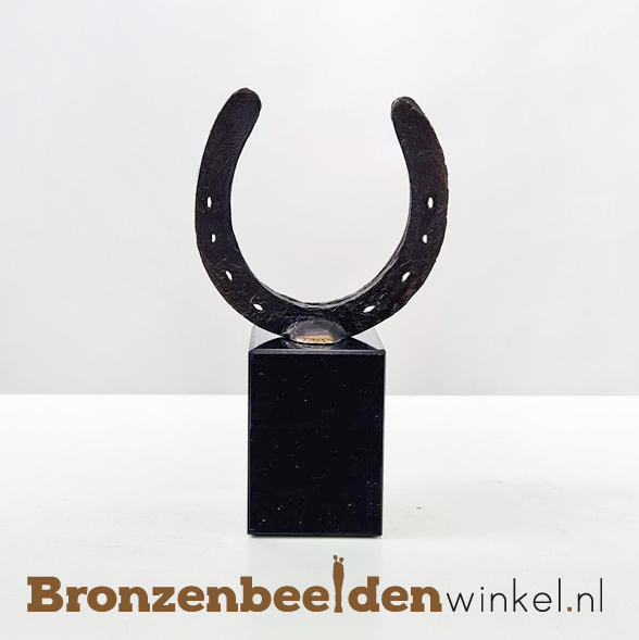 paarden hoefijzer