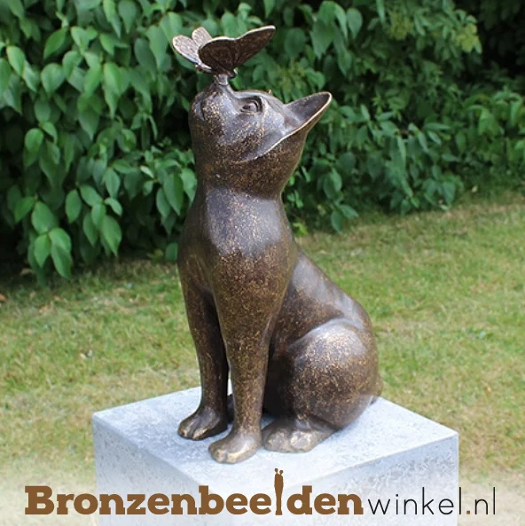 kat als symbool nieuwsgierigheid