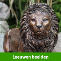 Leeuwen beelden