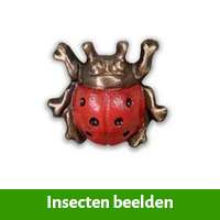 insecten beelden