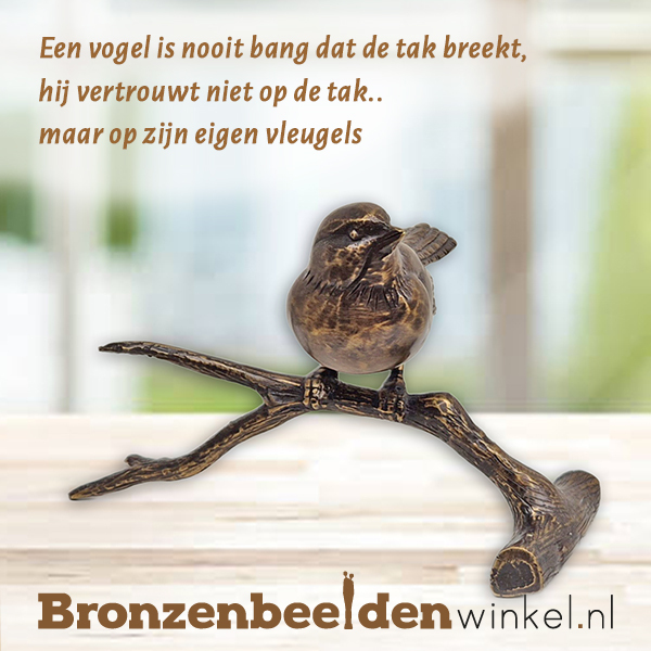 mooie vogel spreuk