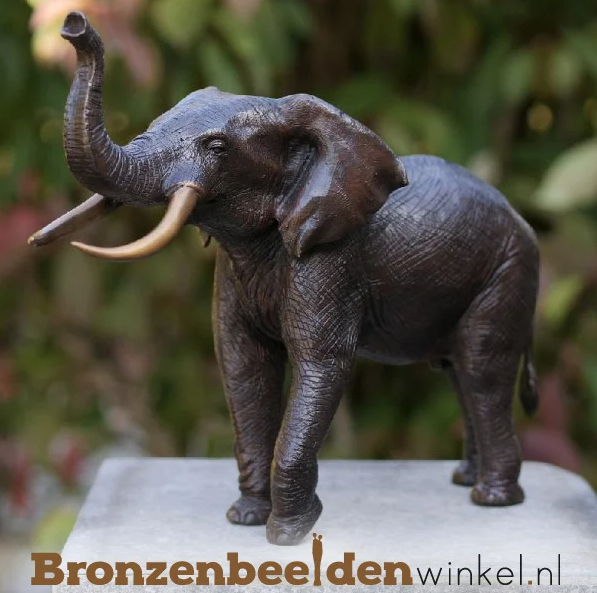 olifant populairste dier