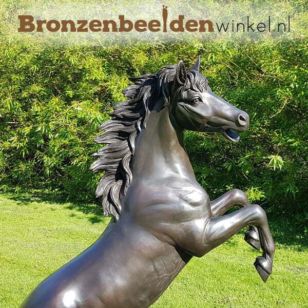 paard als symbool voor kracht