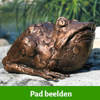 pad beelden