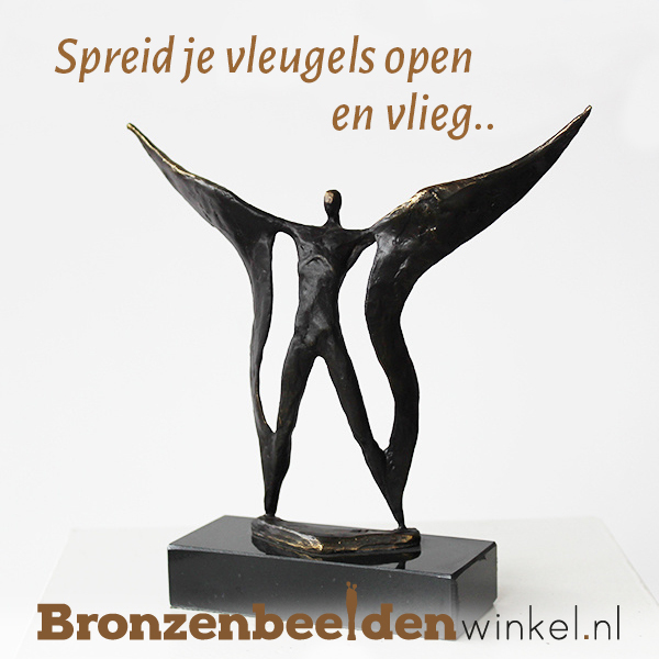 quote vogel spreid je vleugels en vlieg