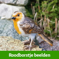 Roodborstje beelden