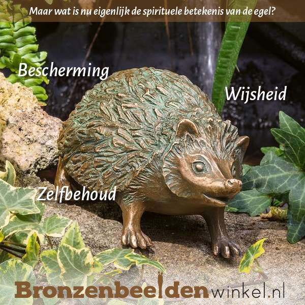 spirituele betekenis egel