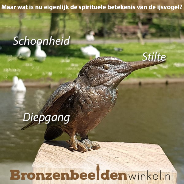 spirituele betekenis ijsvogel