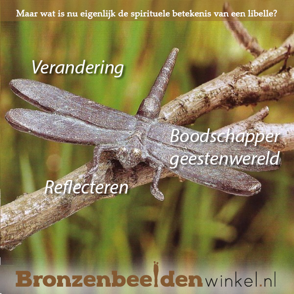 Libellenbeeldje Van Verguld Toermalijn - Natuurlijke Decoratie Met Betekenis