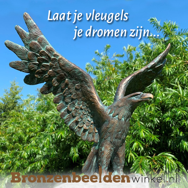 spreuk laat je vleugels je dromen zijn