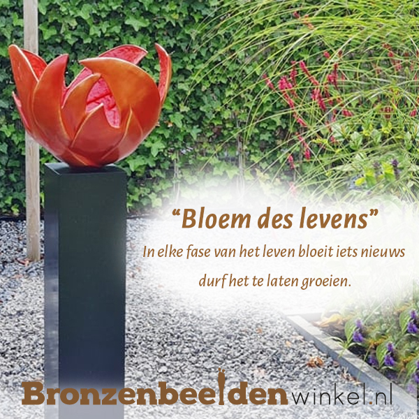 spreuk ouder worden