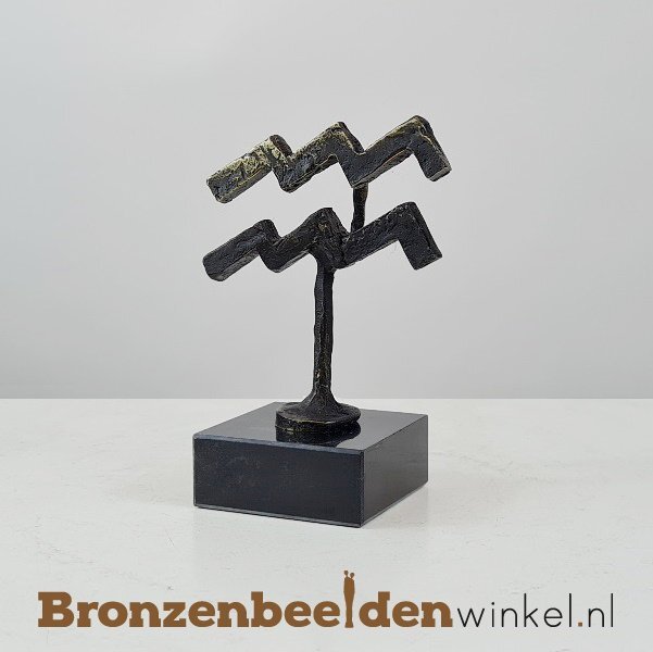 Sterrenbeeld waterman cadeau