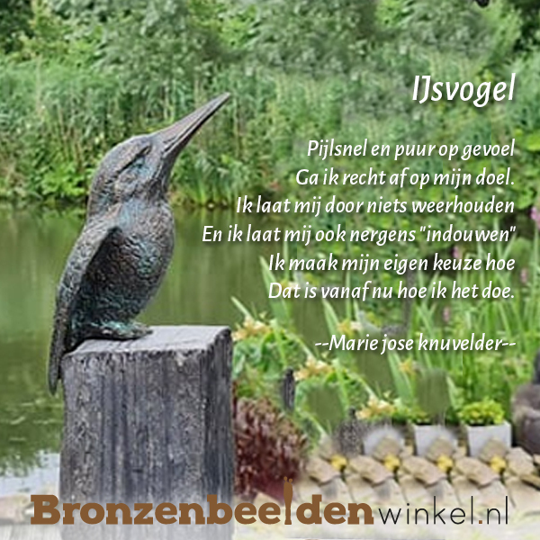 tekst ijsvogel gedicht