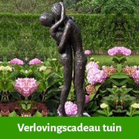 verlovingscadeau man voor in de tuin