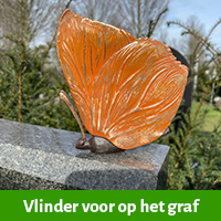 Vlinder voor op het graf