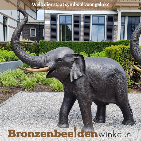 welk dier staat symbool voor geluk