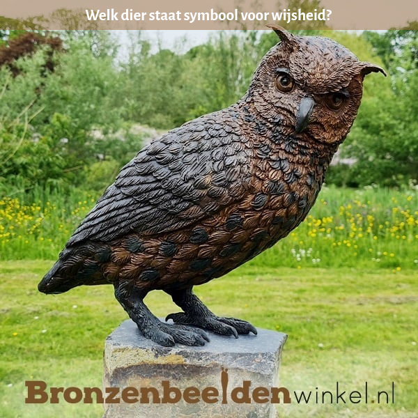 welk dier staat symbool voor wijsheid