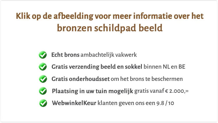 Beeld schildpad van brons voor in tuin of vijver