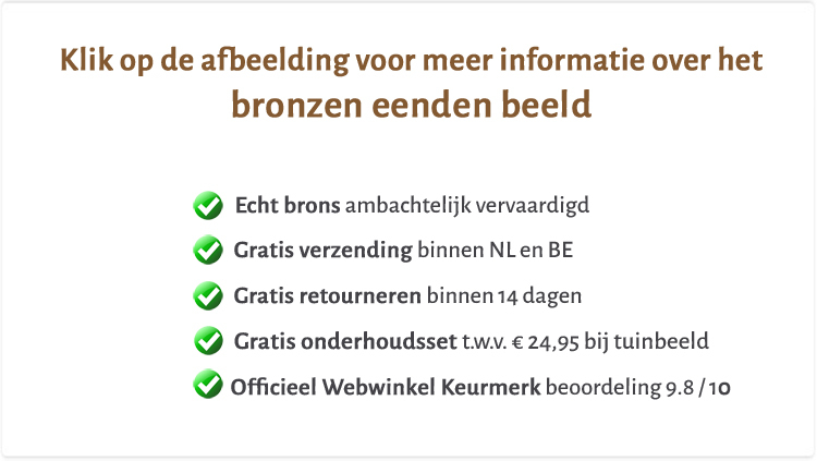 Beeld eend van brons