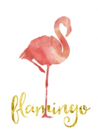 Poster Flamingo zachtroze aquarel met tekst