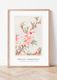 Japanse kunstposter Peach tree branches with leaves and blossoms