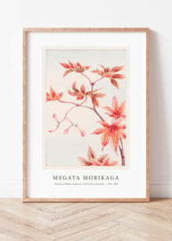 Japanse kunstposter Branch of Momiji maple tree with leaves and seeds