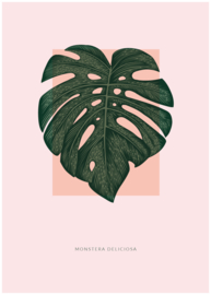 Poster Monstera blad roze