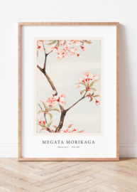 Japanse kunstposter Sakura cherry