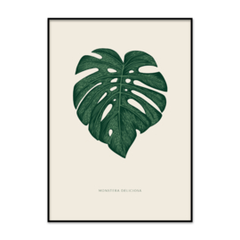 Poster Monstera blad