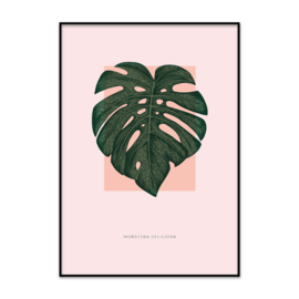 Poster Monstera blad roze