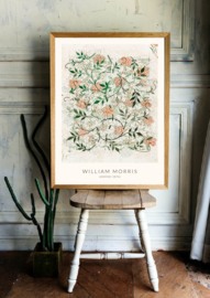 Poster William Morris - Jasmine (1876)