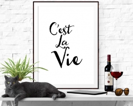 Inspiratie poster C'est La Vie