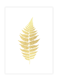Botanische poster varenblad goud