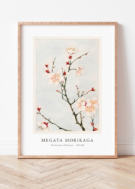 Japanse kunstposter Plum branches with blossoms