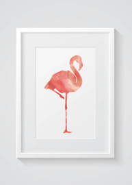 Poster Flamingo aquarel