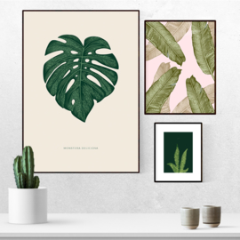 Poster Monstera blad